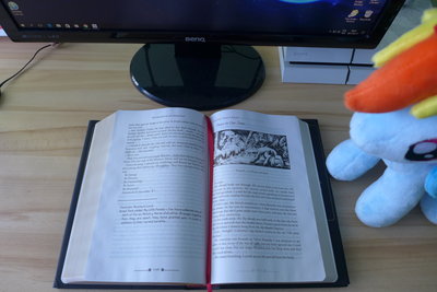 P1010731.JPG